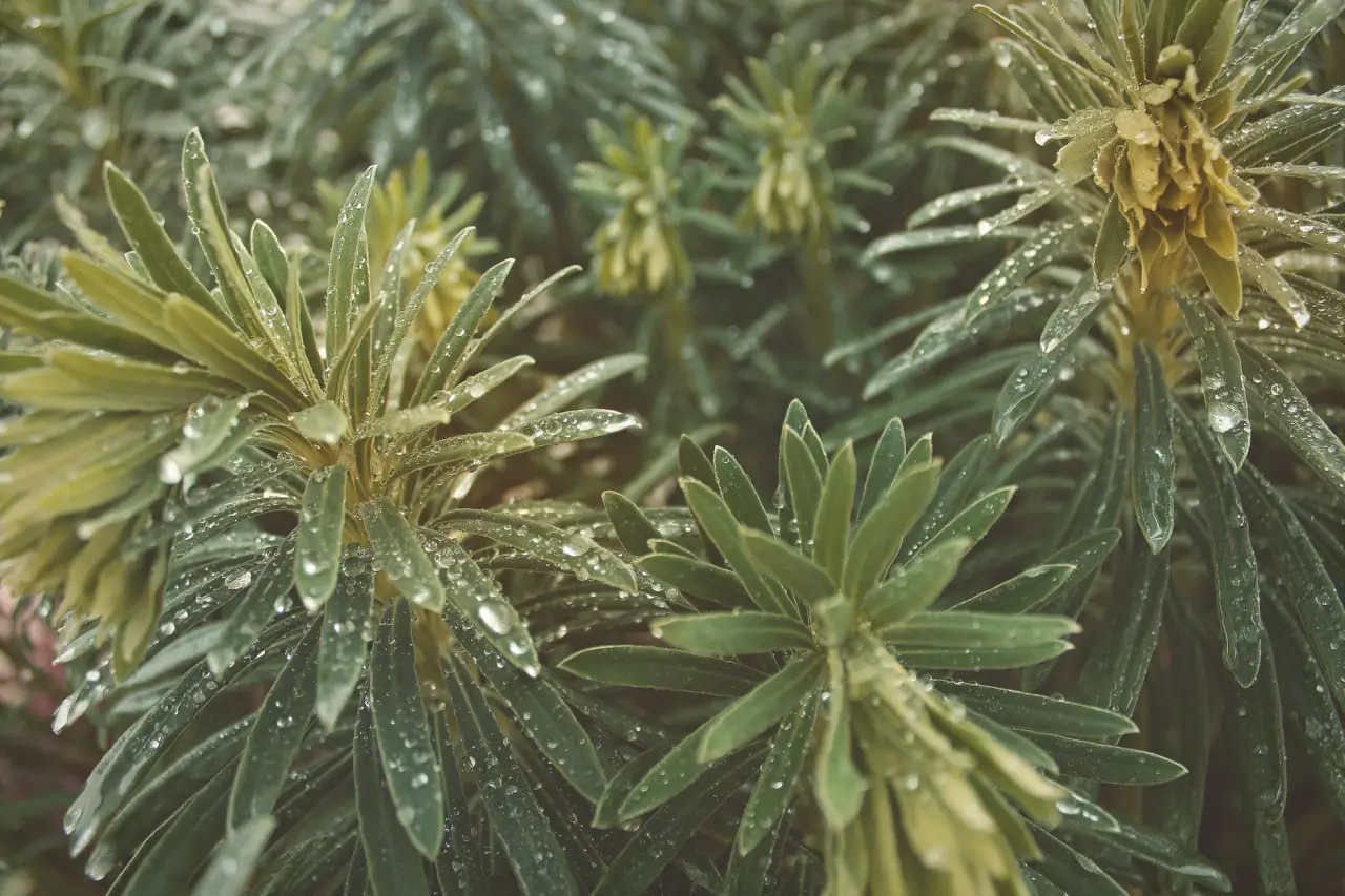 昆明商超展厅广告机选型指南：触摸一体机与工业显示器关键参数对比