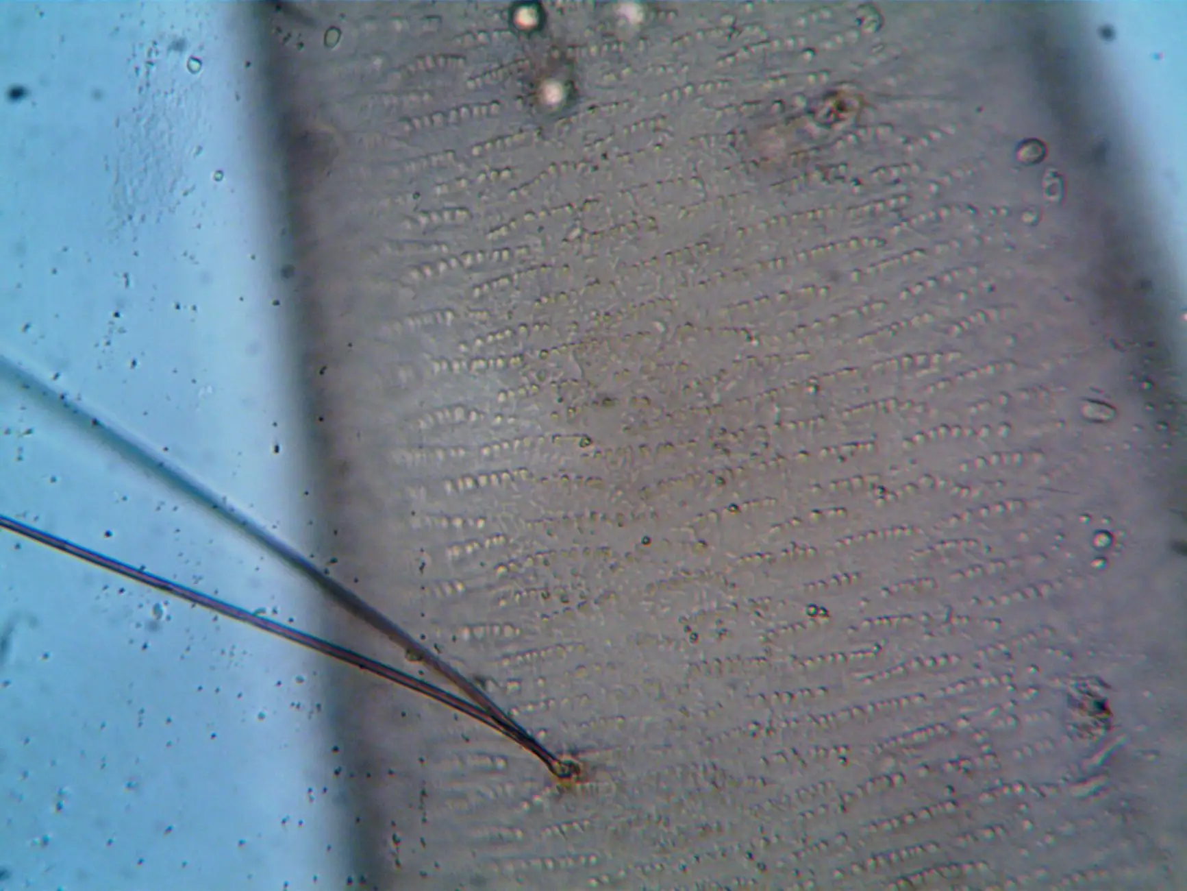 昆明工业显示器选型指南：触摸一体机关键参数与适配场景解析
