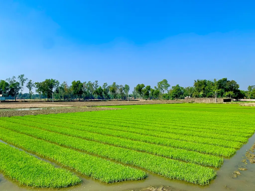 昆明地区工业显示器选型要点及环境适配方案解析