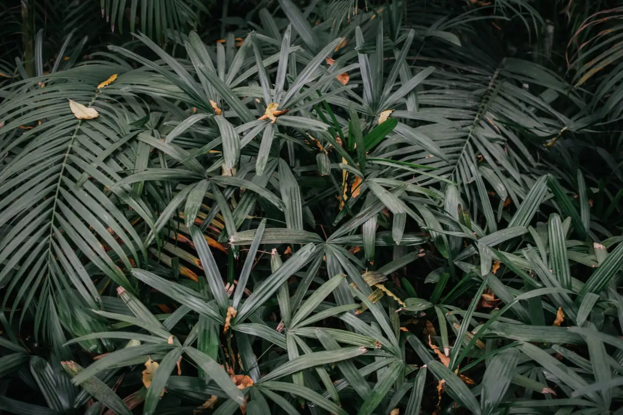 工业显示器选型指南：昆明制造企业如何匹配高稳定性显示设备