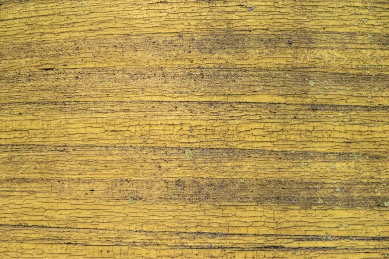 昆明工业显示器触控一体机选型要点与配置建议